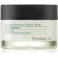 Pyunkang Yul Calming Moisture Repair Balm regenerating and moisturising balm for sensitive skin 30 ml