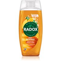 Radox Feel Revived shower gel 225 ml