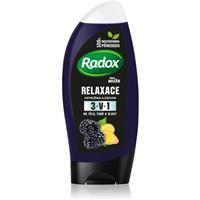 Radox Men Feel Wild shower gel for face, body and hair for men Blackberry & Ginger 225 ml
