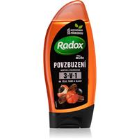 Radox Men Invigorating shower gel for men 3-in-1 225 ml