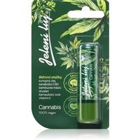 Regina Cannabis deer tallow lip balm 4.5 g