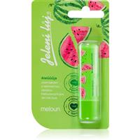 Regina Juicy Summer Watermelon deer tallow lip balm 4,5 g