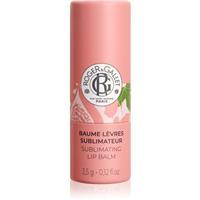 Roger & Gallet Fleur de Figuier Sublimating Lip Balm lip balm 3.5 g
