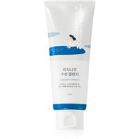 ROUND LAB Birch Juice Moisturizing Cleanser gentle foaming wash gel with regenerative effect 150 ml