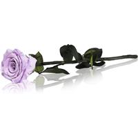 RoseAmor Lila stabilised rose on a stalk 30 cm 1 pc