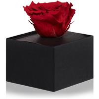 RoseAmor Red stabilised rose in a box 1 pc