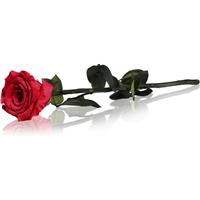 RoseAmor Red stabilised rose on a stalk 30 cm 1 pc