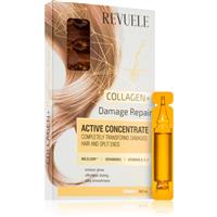 Revuele Active Concentrate Collagen+ ampoule for extremely damaged hair 8x5 ml