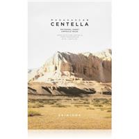 SKIN1004 Madagascar Centella Watergel Sheet Ampoule Mask intensive hydrogel mask with moisturising effect 25 ml