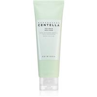 SKIN1004 Madagascar Centella Tea-Trica BHA Foam deep-cleansing mousse for problem skin, acne 125 ml