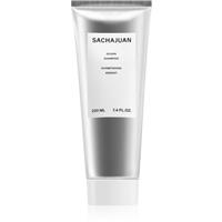 Sachajuan Silver Shampoo shampoo for blonde hair neutralising yellow tones 220 ml