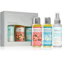 Saloos Bio Body And Massage Oils Body Fit & Lymfa Fit & Magnesium gift set for athletes