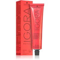 Schwarzkopf Professional IGORA Royal hair colour shade 6-31 Light Brown 60 ml