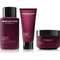 Sebastian Professional Penetraitt Bundle set for damaged, chemically-treated hair