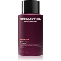 Sebastian Professional Penetraitt shampoo for damaged, chemically-treated hair 280 ml