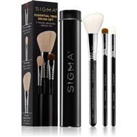 Sigma Beauty Essential mini brush set for the face
