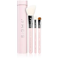 Sigma Beauty Essential makeup brush set with a pouch