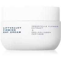 SK3N Liftvalley Firming Day Cream firming day cream 50 ml