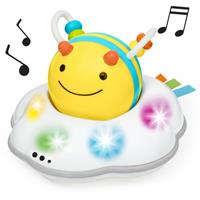 Skip Hop Explore&More musical toy 5m+ 1 pc