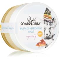 Soaphoria Babyphoria Organic Balm protective balm to protect from the cold and wind for children 50 ml