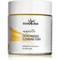 Soaphoria Care Majestic Cleansing Foam moisturising and soothing cleansing foam for sensitive skin 125 ml