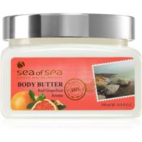 Sea of Spa Essential Dead Sea Treatment body butter with Dead Sea minerals Red Grapefruid 350 ml
