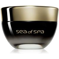 Sea of Spa Bio Marine nourishing day cream for normal and dry skin 50 ml