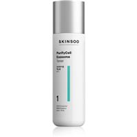 SKINSOO PurifyCell Exosome Toner soothing toner to regulate sebum 200 ml
