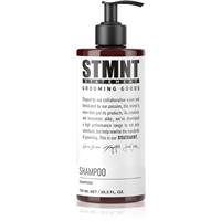 STMNT Care Shampoo purifying shampoo for men 750 ml