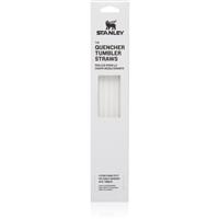 Stanley The Quencher Tumbler Straws replacement straw 1180 ml 4 pc