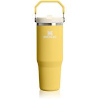Stanley IceFlow Flip Straw 2.0 Tumbler stainless steel insulated flask Daffodil 1 pc
