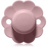 Suavinex Wonder SX Pro Physiological 0-6 m dummy Pale Mauve 1 pc