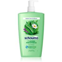 Schwarzkopf Schauma 7 Herbs Freshness herbal shampoo for normal to oily hair 1000 ml