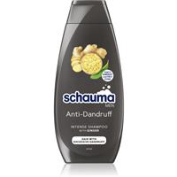 Schwarzkopf Schauma Anti-Dandruff anti-dandruff shampoo with ginger for men 400 ml