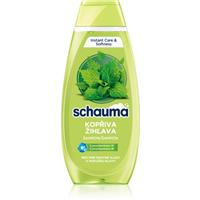 Schwarzkopf Schauma Nettle Freshness purifying shampoo for oily hair and scalp 400 ml