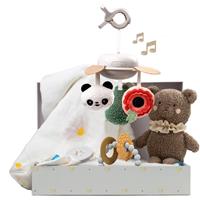 Taf Toys Luxury Newborn Kit gift set for babies