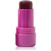 Technic Cosmetics Jelly Tint blusher stick for lips and cheeks shade Berry Cool 9 g