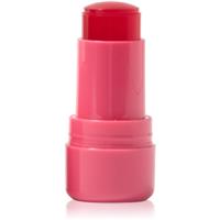 Technic Cosmetics Jelly Tint blusher stick for lips and cheeks shade Red Hot 9 g