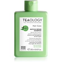 Teaology Matcha Tea Repair Shampoo strengthening shampoo 250 ml