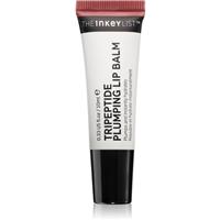 The Inkey List Tripeptide Plumping Lip Balm lip balm with magnifying effect shade Mocha 10 ml