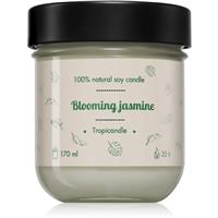 Tropicandle Blooming Jasmine scented candle 170 ml