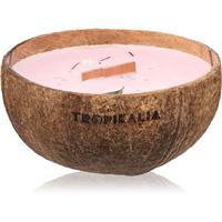 Tropicandle Frozen Cranberry scented candle with wooden wick 350 ml