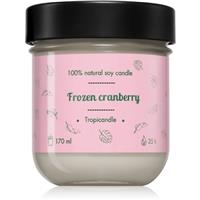 Tropicandle Frozen Cranberry scented candle 170 ml