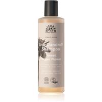 Urtekram Sweet Ginger Flower moisturising anti-dandruff shampoo with extracts from aloe and ginger 250 ml