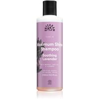 Urtekram Soothing Lavender soothing shampoo for shiny and soft hair 250 ml