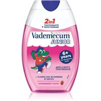 Vademecum Junior 2 in 1 2-in-1 toothpaste and mouthwash for children age 6+ 75 ml