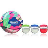 Vaseline Botanical Bliss Set gift set for lips