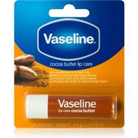 Vaseline Lip Care lip balm shade Cocoa 4,8 g