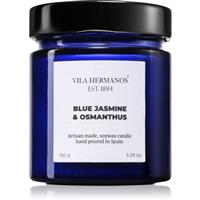 Vila Hermanos Apothecary Cobalt Blue Blue Jasmine & Osmanthus scented candle 150 g