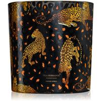 Vila Hermanos Jungletopia Savage Africa scented candle 1450 g